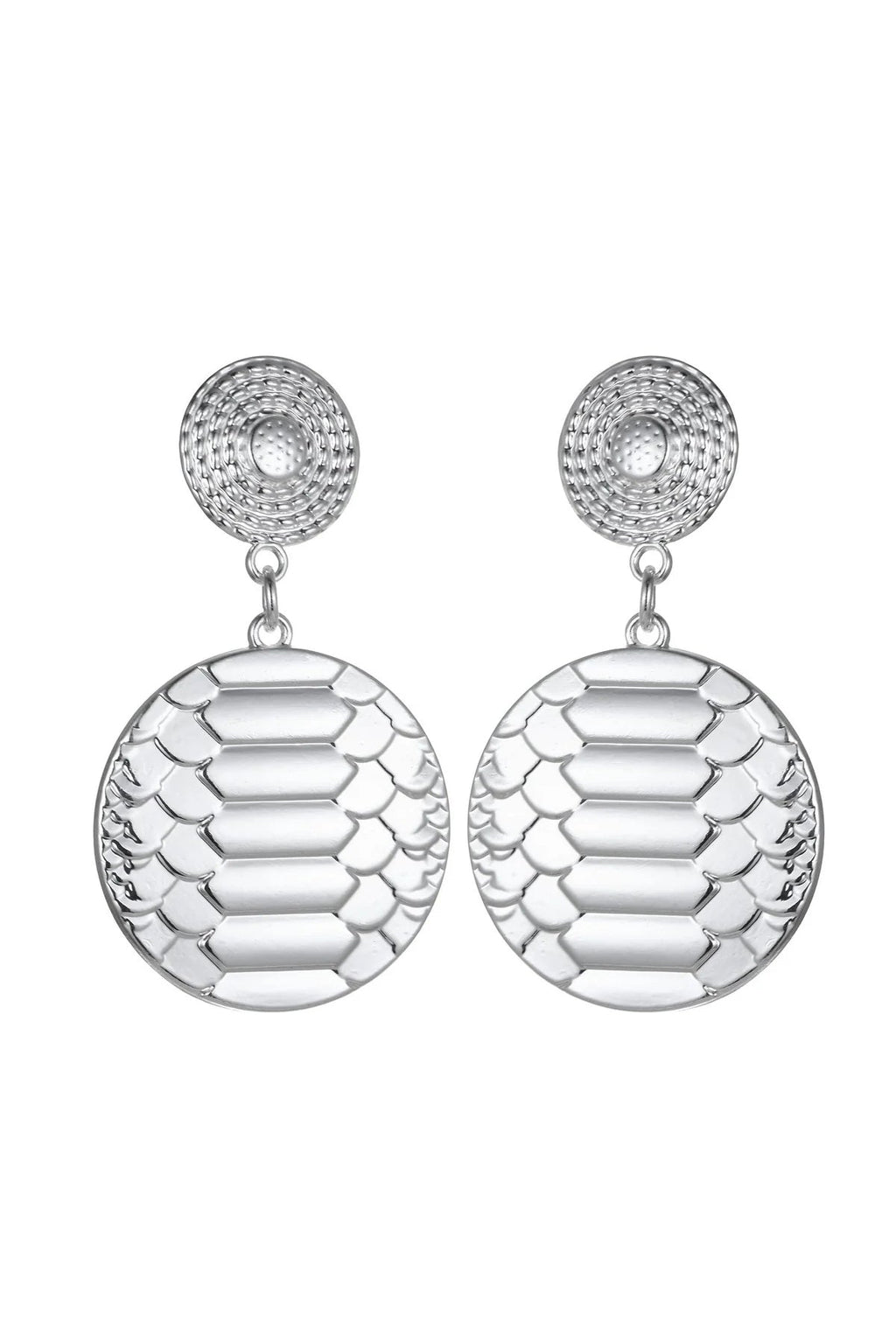 Silver Tone Snake Print Earrings-0