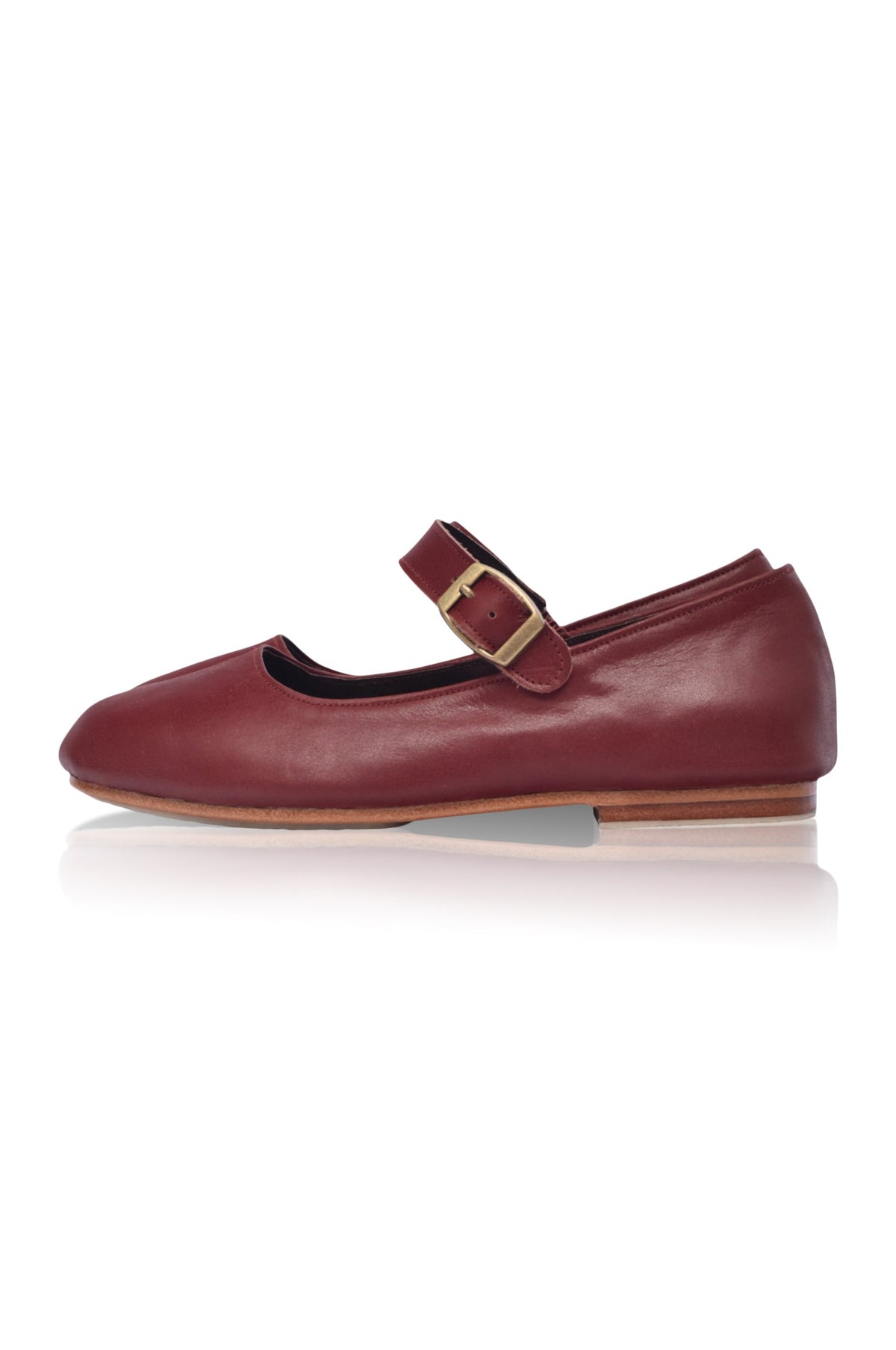 Belle Rose Mary Jane Leather Flats-1