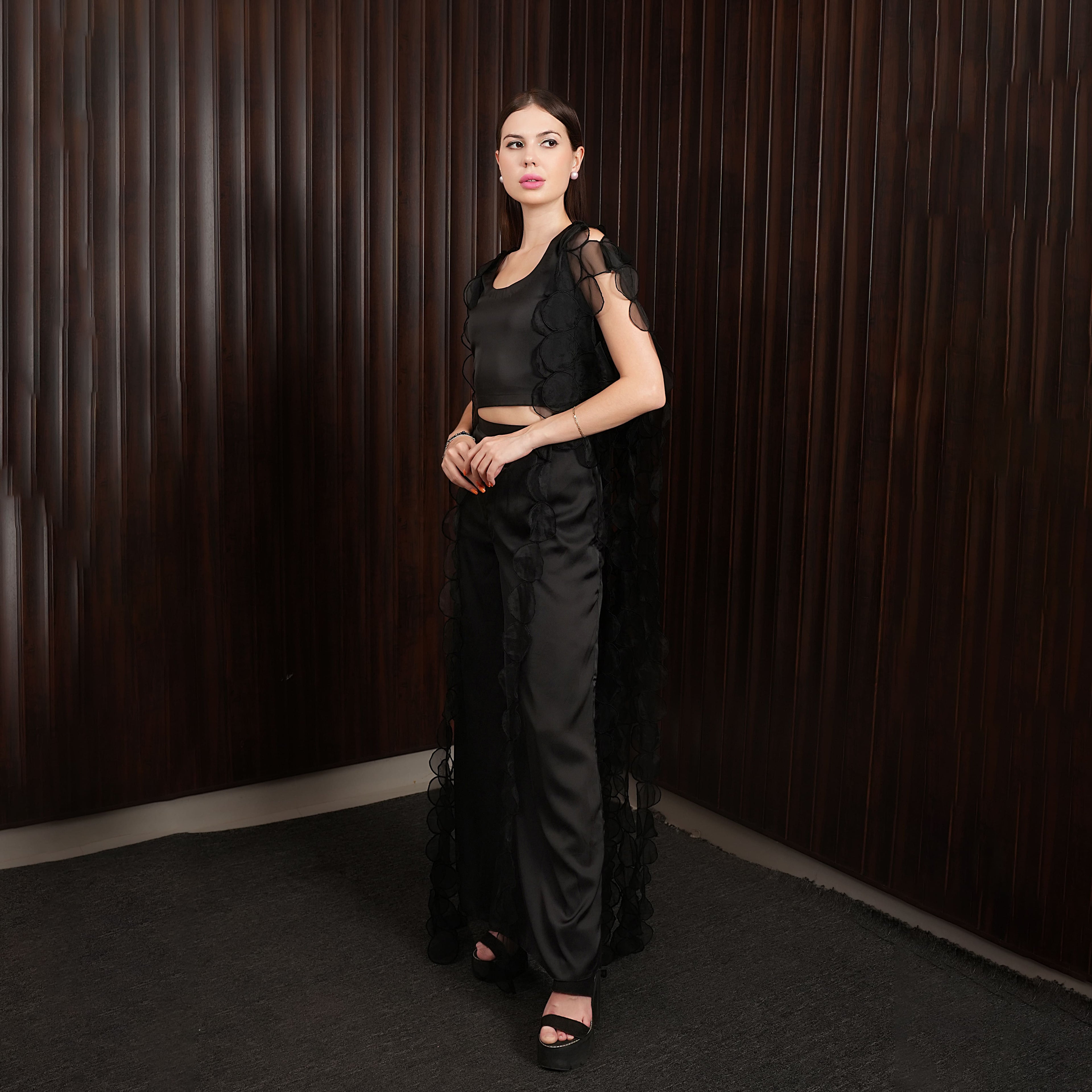 Hand Embroidered Organza Jacket with plazos-4