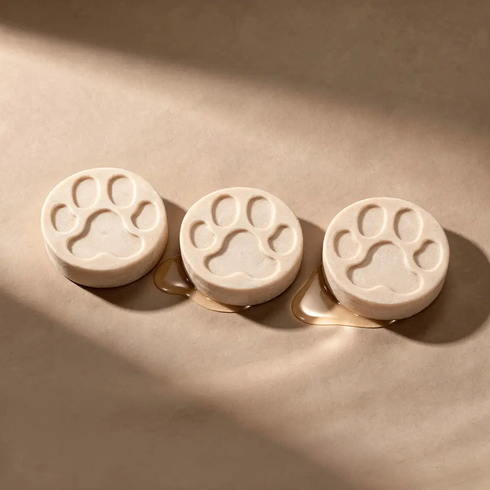 Fragrance Free Dog Shampoo Bar Bundle-0