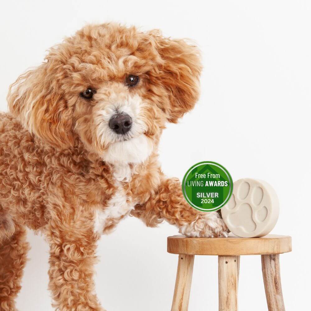 Fragrance Free Dog Shampoo Bar Bundle-3