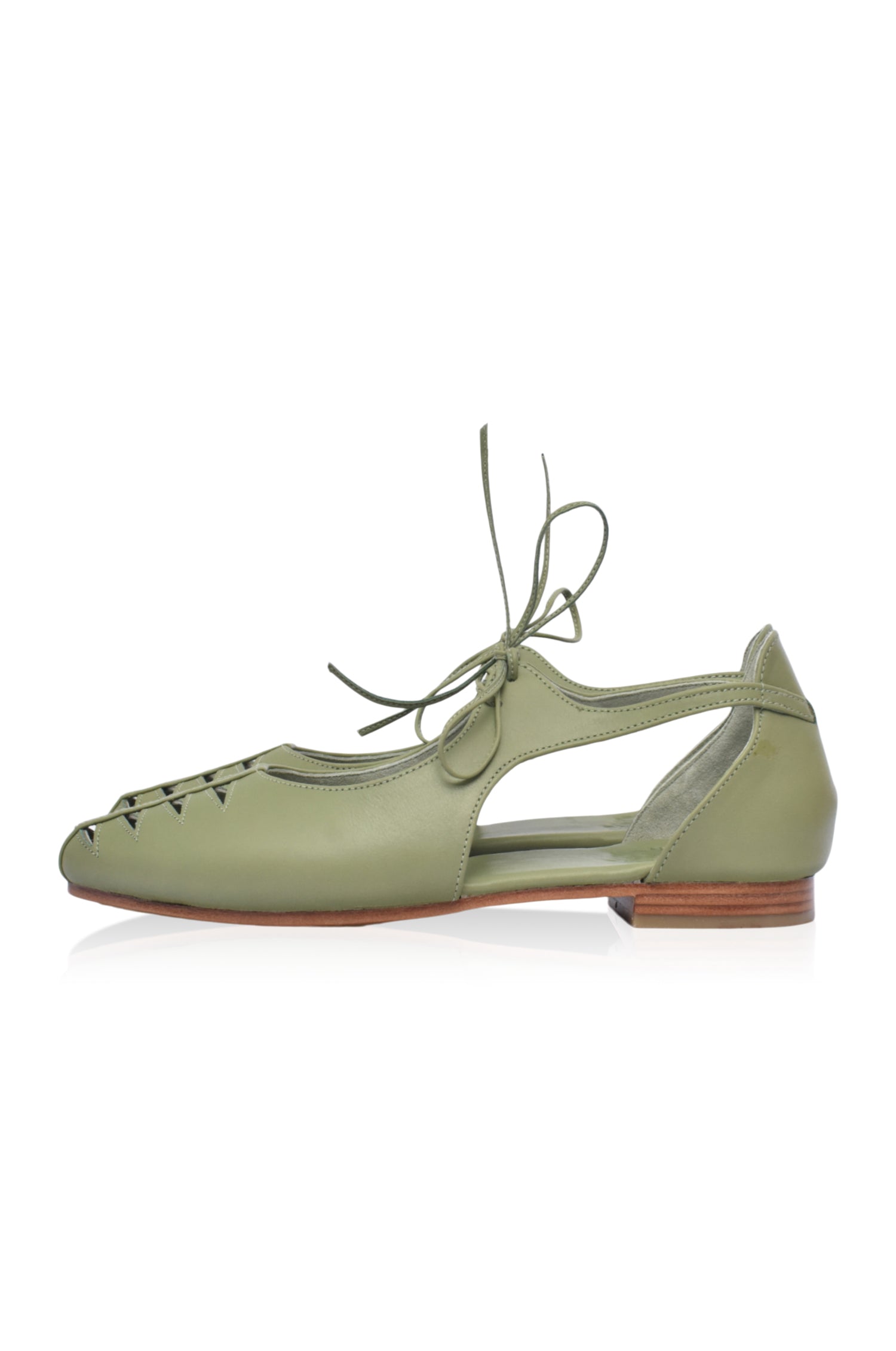 Eden Pointy Toe Ballet Flats-1