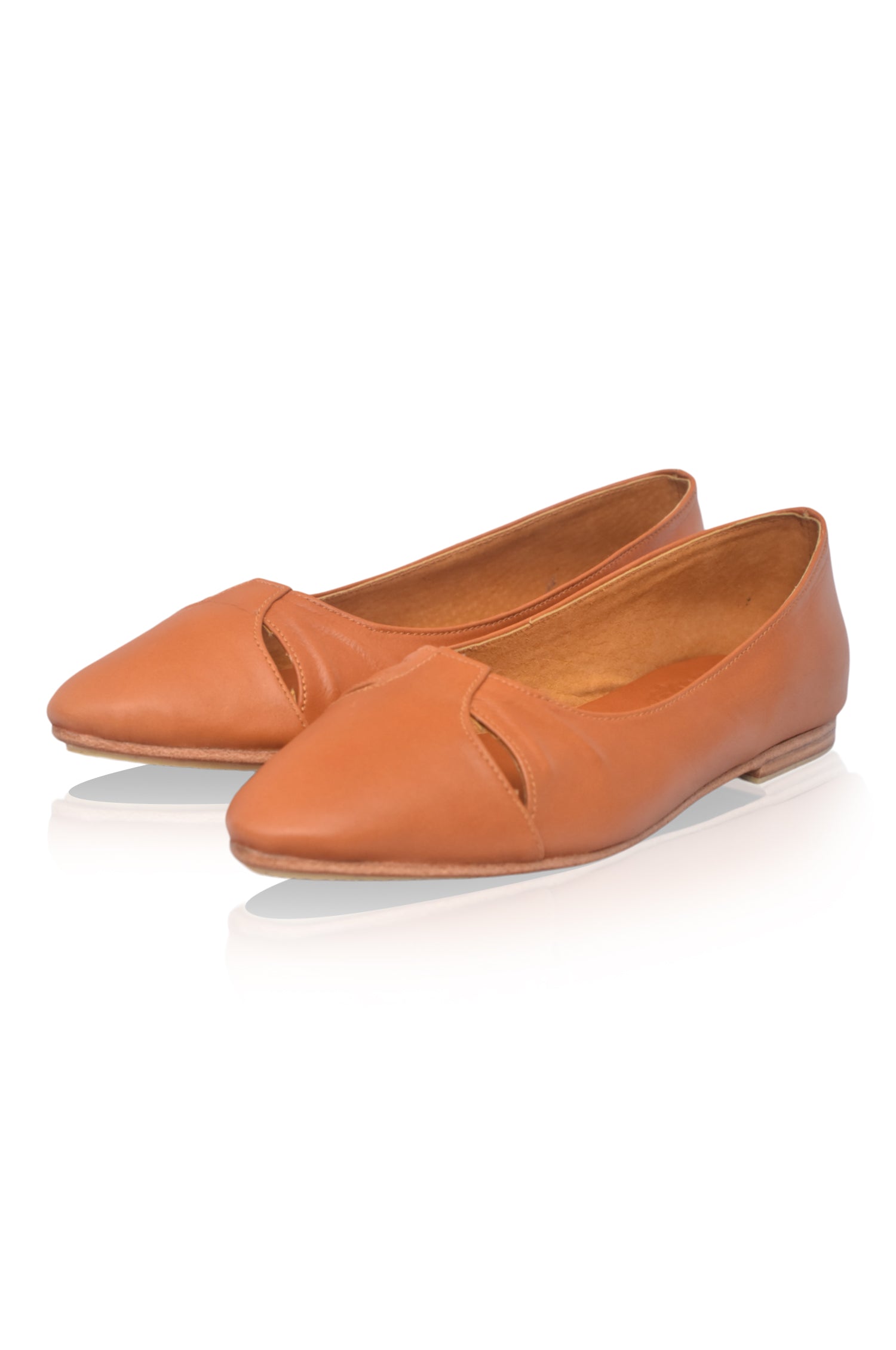 Siren Pointed Toe Leather Flats-1