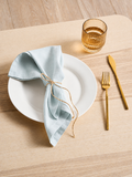 Powder Blue Linen Napkin Set-0